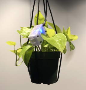 Unnatural Nature sensor in plant