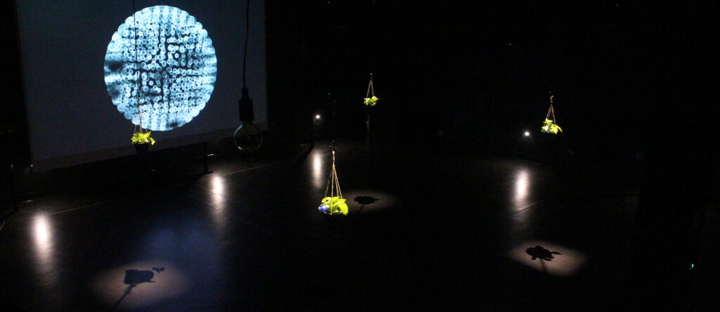 Unnatural Nature immersive and interactive installation