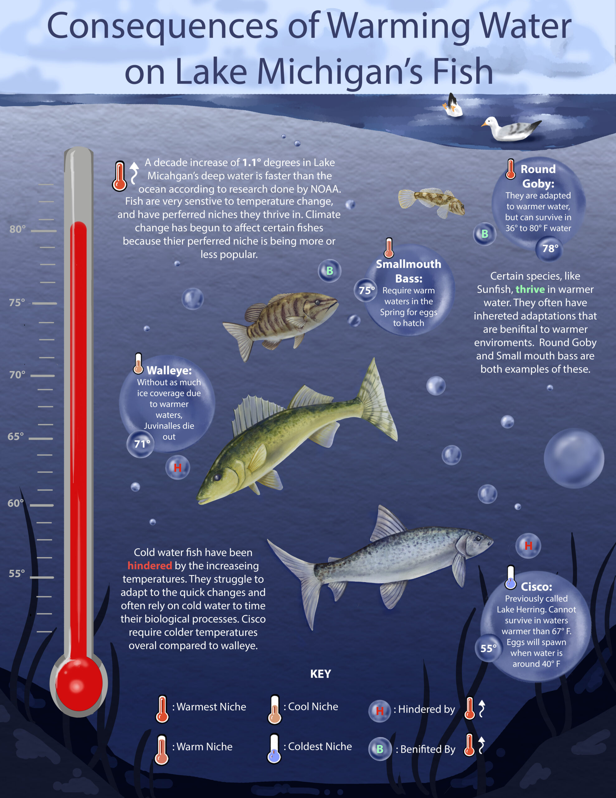 Climate Change Poster Final - Anna Howell Howell Artwork