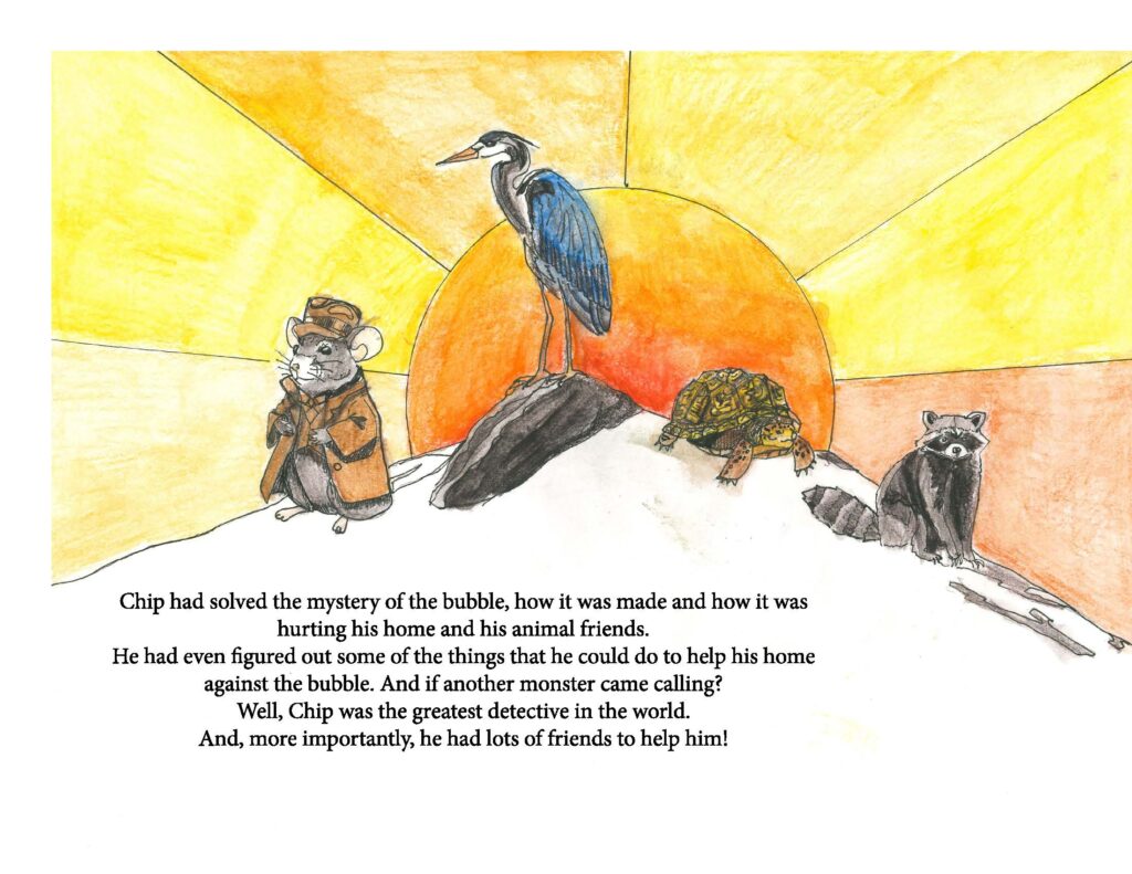 Collins Book Page 13
