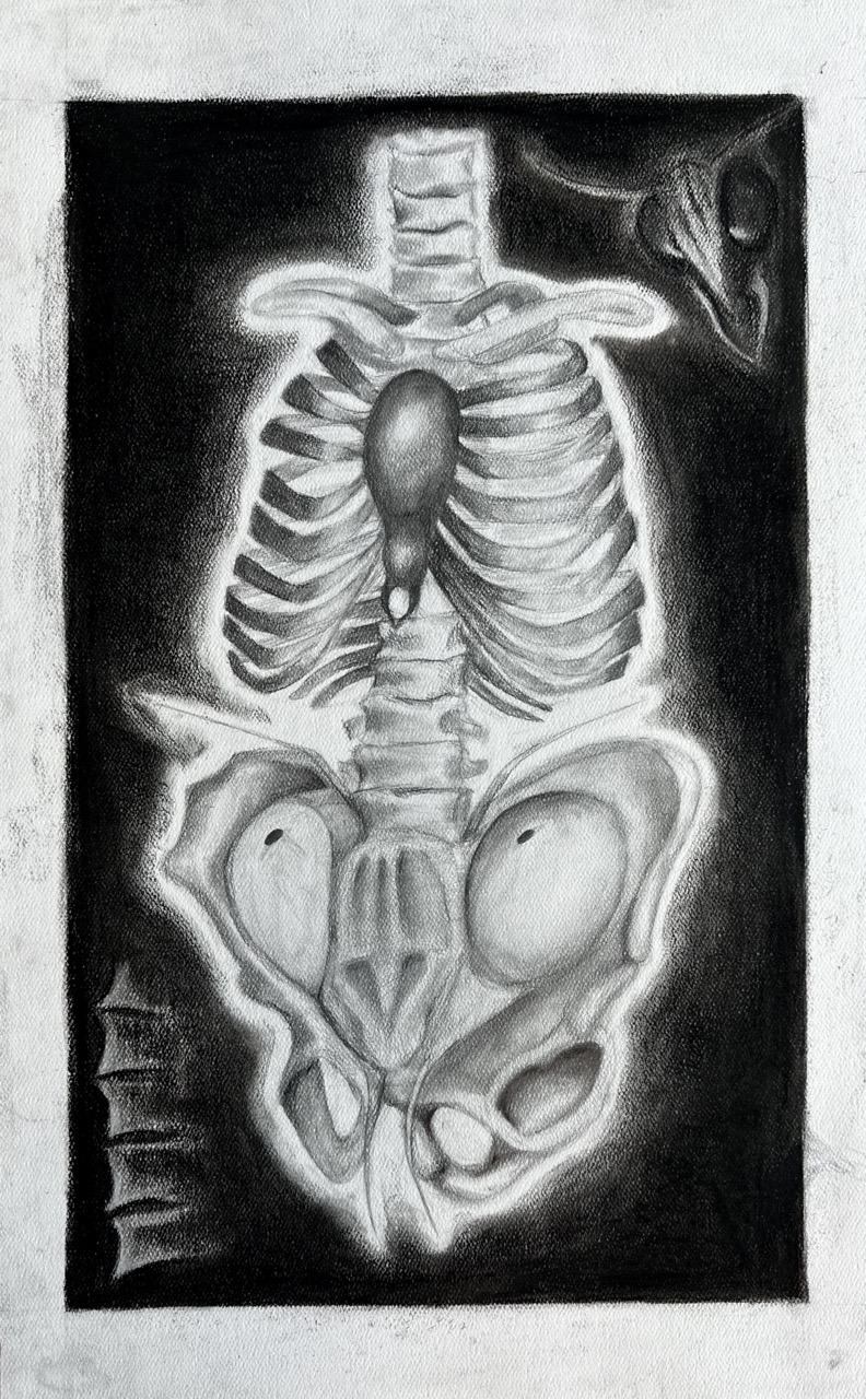 exoLarge - Zoeya Ali Ali Exoskeleton Artwork