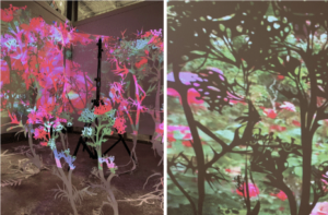 Writing, reading, and making art in collaboration with the “model” bioscienceplant, Arabidopsis thaliana