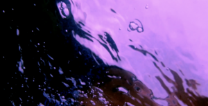 Starship Somatics