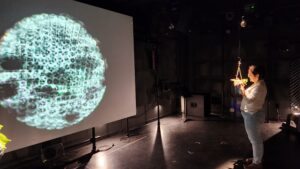 Unnatural Nature Installation