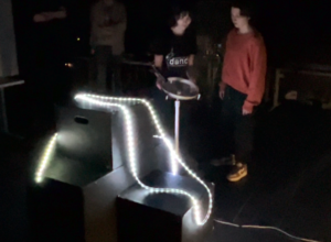 Bioluminescence Art Installation