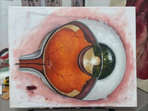 Dissecting Beauty