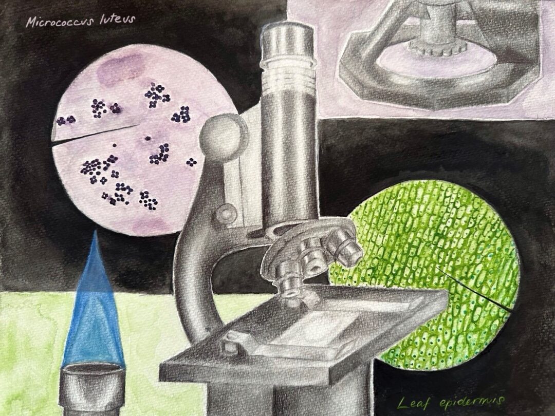 Ali Microscope Artwork