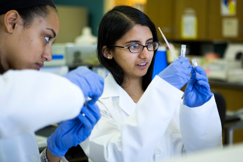 focus areas two students in lab